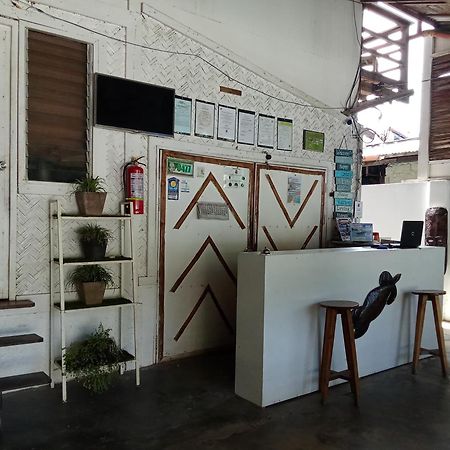 Tribal Xperience Guesthouse San Vicente  Dış mekan fotoğraf
